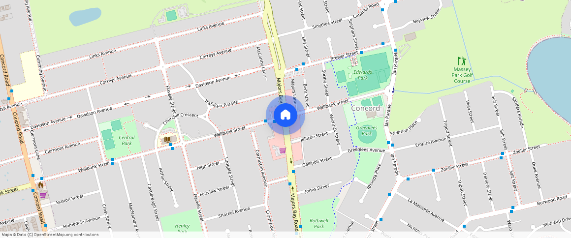 90a Links Ave, Concord, NSW 2137