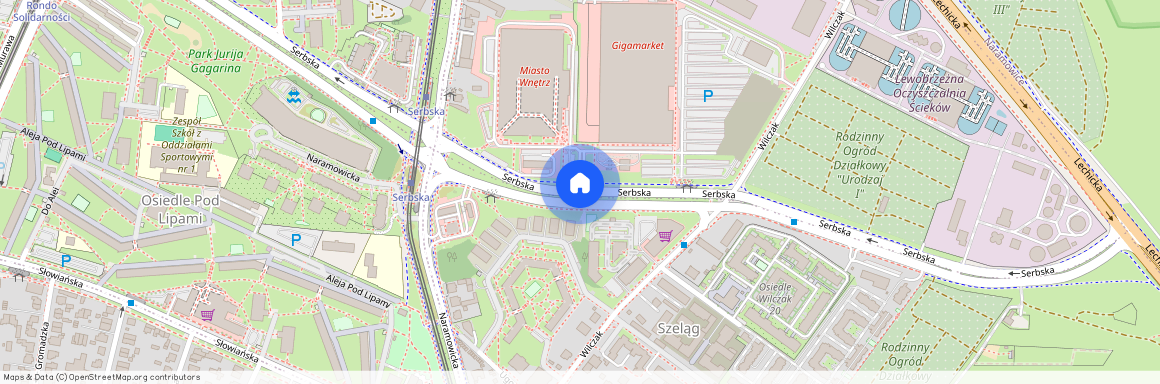 ul. Serbska, Winogrady, Stare Miasto, Poznań, wielkopolskie