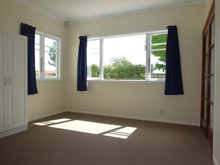 Clive Street, Akina - Photo 5