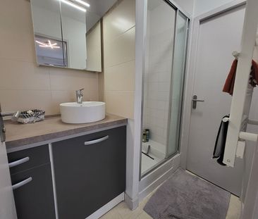 Location Appartement 1 pièce 26m² - Photo 4