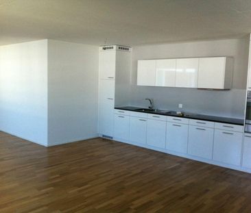 2.5 Zimmer Wohnung - Foto 3