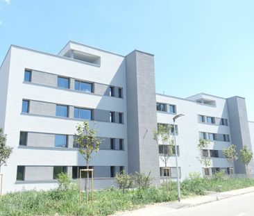 "3.5-Zimmerwohnung in Reinach" - Photo 3