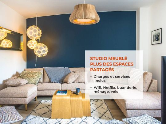 Appartement T1 Meublé clé en main - Nantes Bord de Sèvre - Photo 1