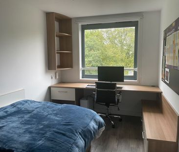 Room in a Shared Flat, London, SE16 - Photo 2