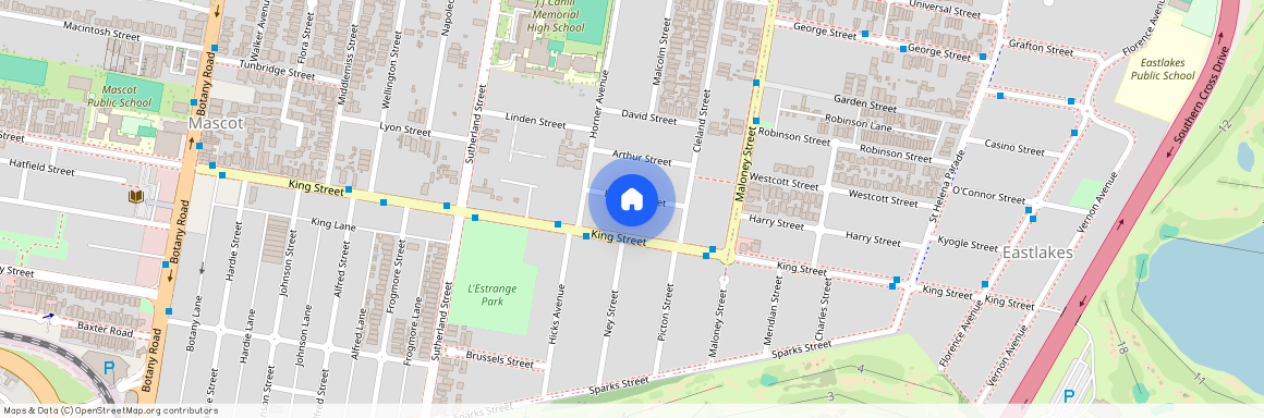 14 Francis Street, NSW 2020, Mascot