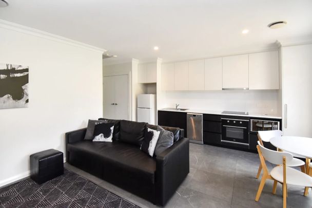 Fully Furnished One Bedroom Apartment - Photo 1