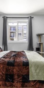 Appartement 3 ½ à louer janvier 2026 - Photo 3