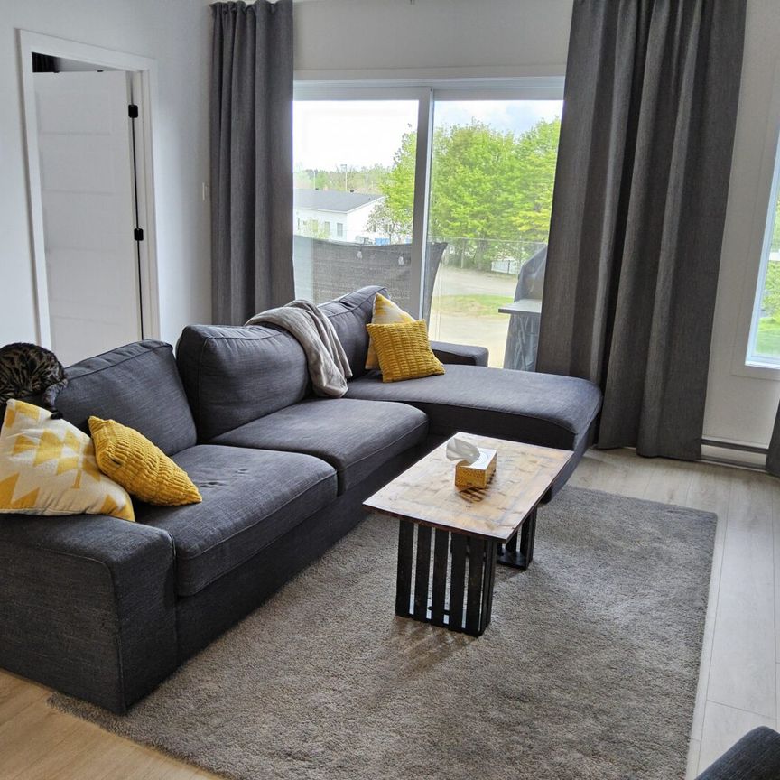 70 place Edmond-Aucoin Saint-Boniface - Photo 1