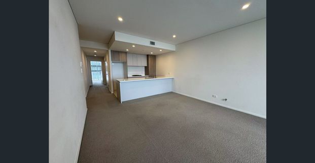 North Facing Spacious Apartment With City View - Photo 1