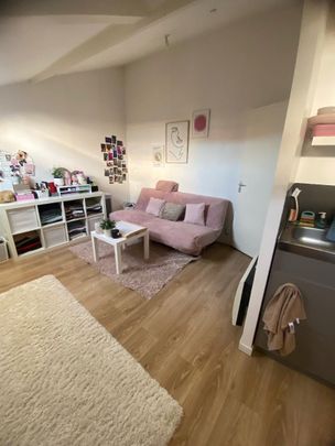 Location Appartement 1 pièce 16m² VILLEURBANNE 69100 - Photo 1