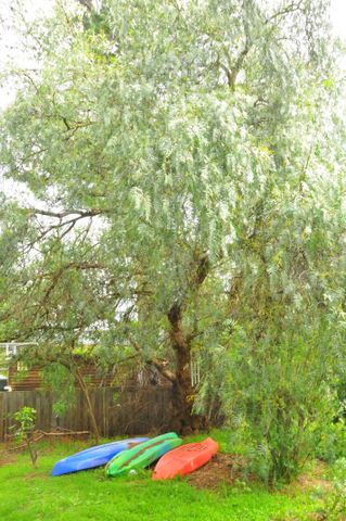 Templestowe - Photo 4