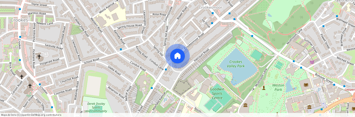 8 459 Crookesmoor Road, Sheffield