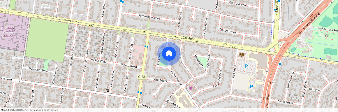 102 Robin Avenue, Norlane