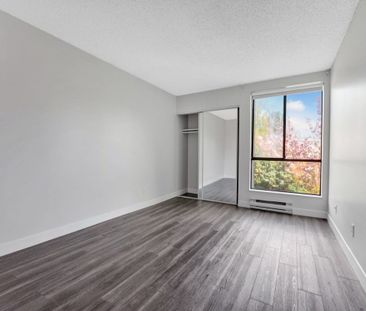 Fraser Place Apartments - 1 Bedroom - Photo 3
