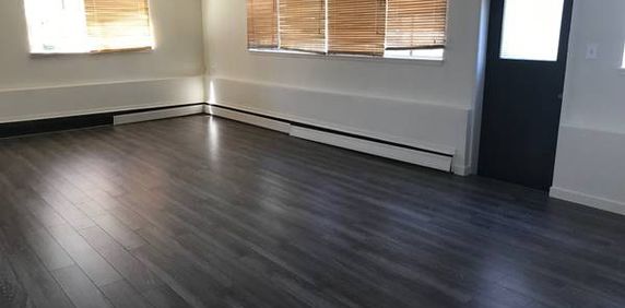 Huge 4 bedroom, 2 bathroom, 1st floor apt - Photo 2