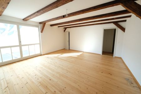 6.5 Zimmer, 308 m², 1. Stock - Photo 4