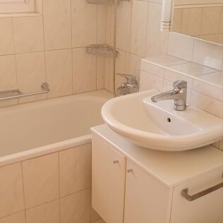 Appartement lumineux de 2 pièces dans un endroit calme sur le Hönggerberg - Photo 1