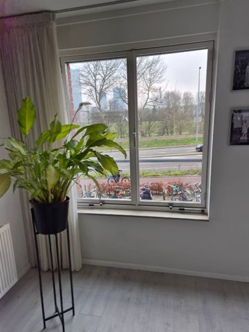 Prins Frederikplein 202, Noordereiland, 3071KS, Rotterdam - Photo 5