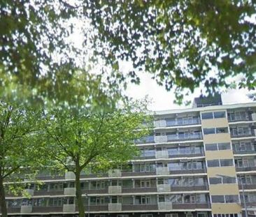 Erasmuslaan 0ong, 1216 Hilversum, Nederland - Photo 1