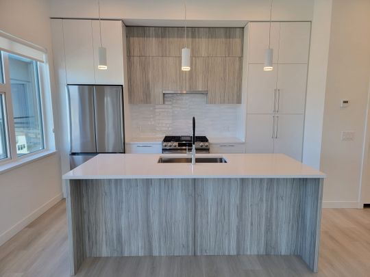 Downtown 2nd Floor Luxury 2 Bdrm * Pets - Photo 1