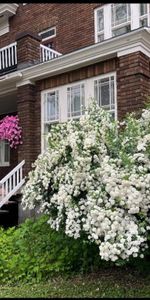 5 1/2 (2CC+bureau) sur 2étages(2e et 3e) - Photo 3