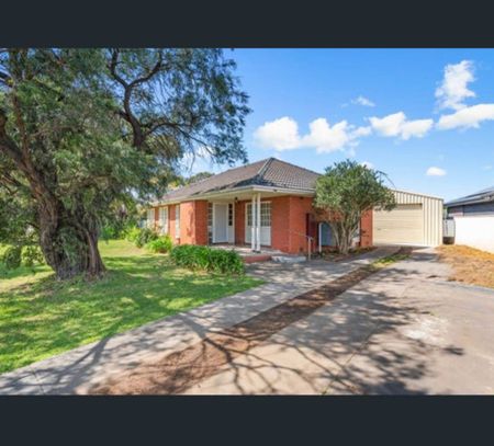 6 Amanga Street, Gepps Cross, SA 5094 - Photo 3