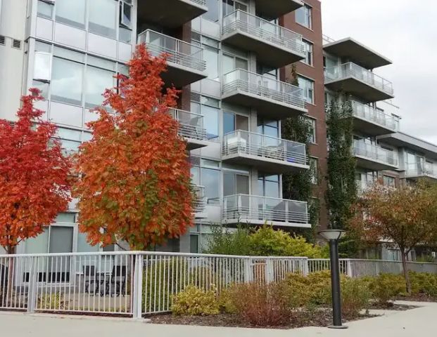 Furnished Luxurious 1 Bdrm Condo - Regent Century Park for Rent | 610 - 2612 109 St NW, Edmonton - Photo 1