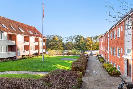 Afd. 17 Rosenvænget 7 - Foto 3