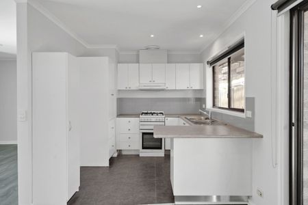 Amazing Amber! - Photo 5