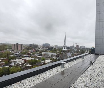 Appartement à louer, Montréal (Ville-Marie) - Photo 5