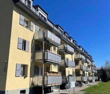 Stadt, See & Natur - alles vor der Tür! - Foto 4