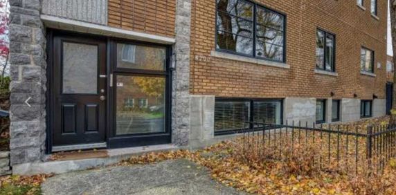 Magnifique 3 ½ Ensoleillé - Photo 2