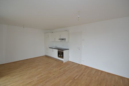 Zentrum – 66m² – 3 Zimmer WG oder Pärchenwohnung – großer Süd-Balkon - Photo 3