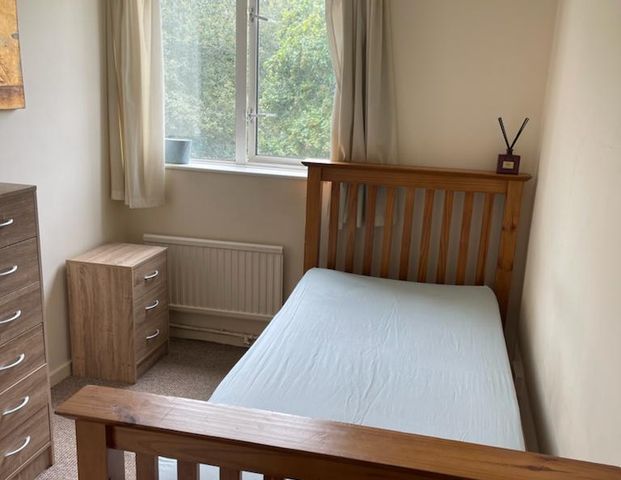 1 bedroom in a house share to rent - Photo 1