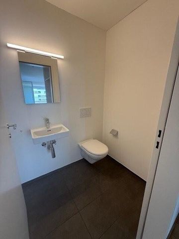 Moderne 3.5-Zimmer-Attikawohnung mit grosser Terrasse - Foto 4