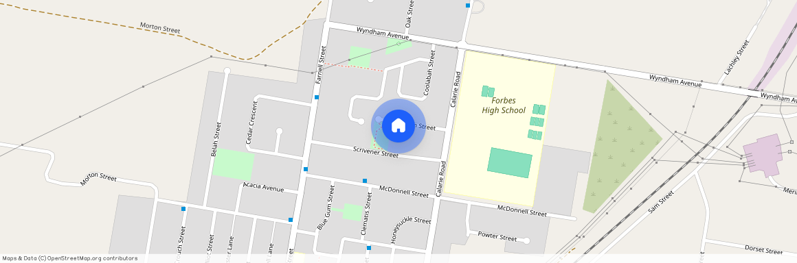 24 Stonham Street, Forbes