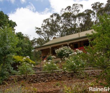 Country Charm in the Heart of Belair - Photo 6