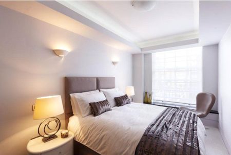 South Audley Street, W1K - Photo 4