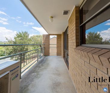3/12 Wlikins Street, Mawson ACT 2607 - Apartment For Rent | Domain - Photo 2