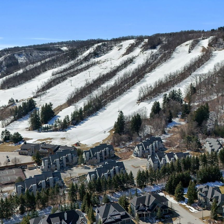 For Lease - 796468 Grey 19 Road Unit# 707, Blue Mountains, Ontario - Photo 1