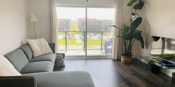 Grand Condo-3 Chambres+5 Électro/Aylmer - Photo 3
