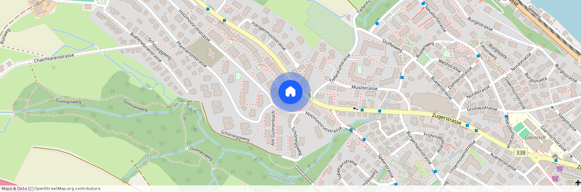 Holzmoosrütistr. 6b, 8820 Wädenswil