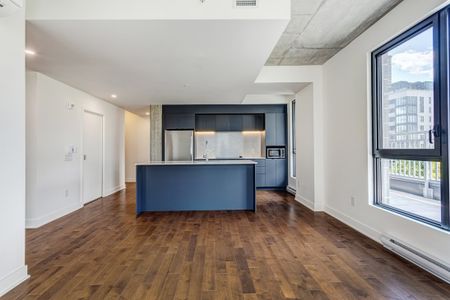 Appartement à louer - Montréal (Ville-Marie) (Centre) - Photo 3