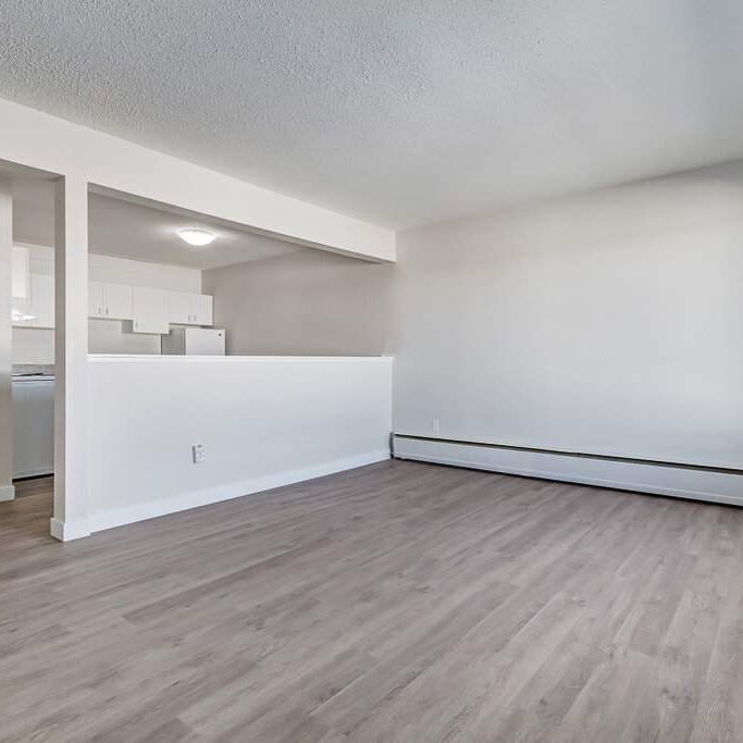 Renovated Suite - 1 Bedroom - Photo 1