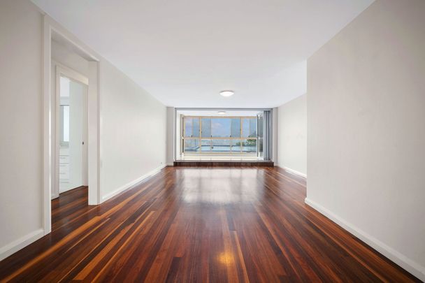 BEAUTIFULLY APPOINTED, SPACIOUS APARTMENT - Photo 1