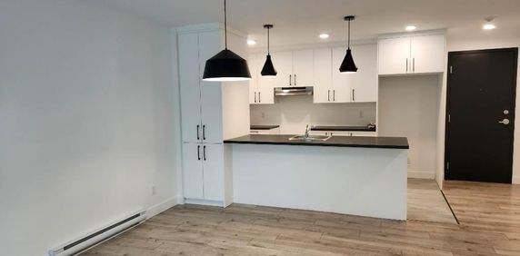 NOUVEAUTÉ! 3 et demi + Bureau/ Promo Octobre Gratuit! (au cœur de STE-FOY) - Photo 2