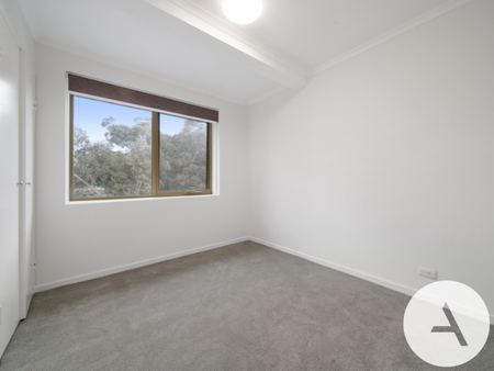 60/179 Melrose Drive, Lyons ACT 2606 - Apartment For Rent | Domain - Photo 3