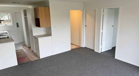 Fully Renovated Apartment - Photo 5