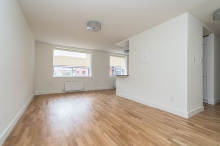 56 Eccleston Drive - Photo 2