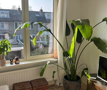 Te huur: Appartement Manus Peetstraat in Amstelveen - Foto 5